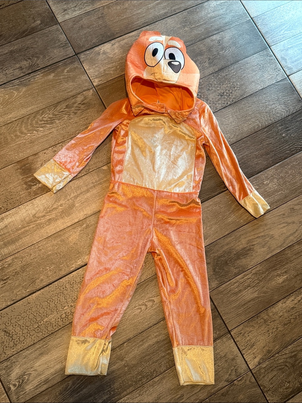 Kids Orange Character Hooded Halloween Costume with Gold Accents